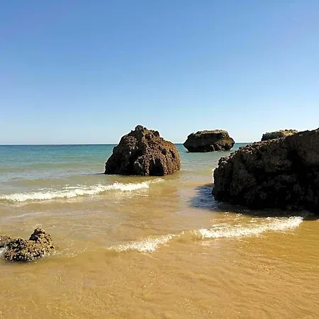 아파트호텔 Ourabay - Art & Holidays